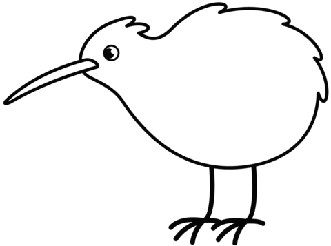 Kiwi Bird Coloring Page